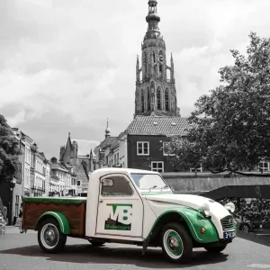 Foto van Eend