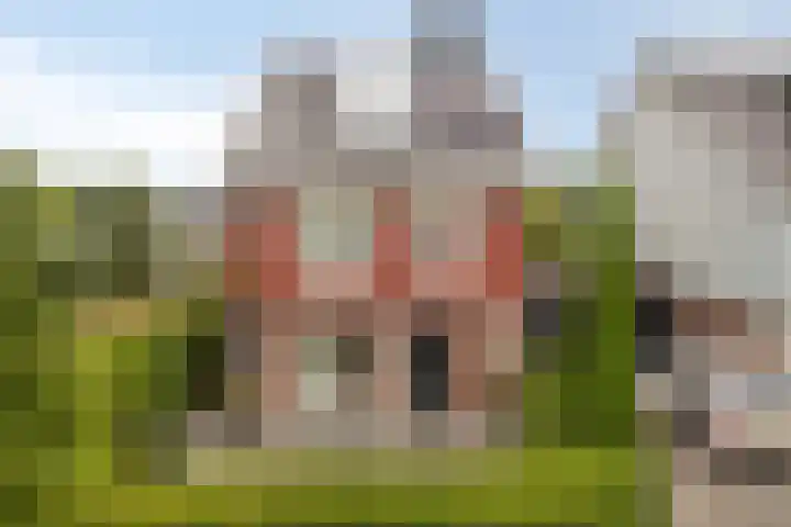 Eendagsbloemlaan 14 Vleuten
