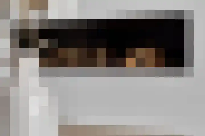 Eendagsbloemlaan 14 Vleuten thumbnail 13