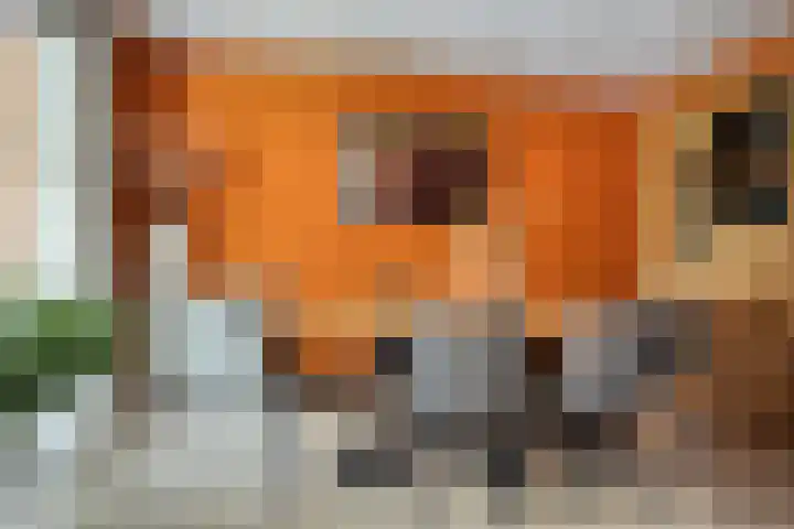Eendagsbloemlaan 14 Vleuten thumbnail 14