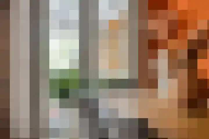 Eendagsbloemlaan 14 Vleuten thumbnail 15