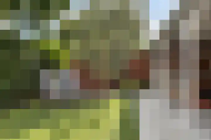 Eendagsbloemlaan 14 Vleuten thumbnail 18
