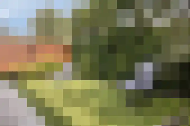Eendagsbloemlaan 14 Vleuten thumbnail 19
