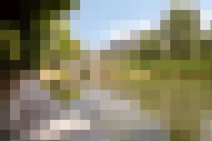 Eendagsbloemlaan 14 Vleuten thumbnail 21