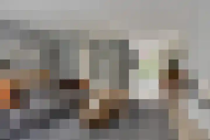 Eendagsbloemlaan 14 Vleuten thumbnail 23
