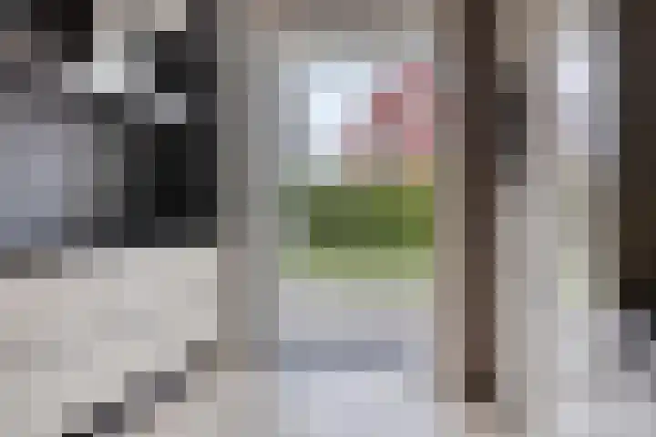 Eendagsbloemlaan 14 Vleuten thumbnail 26