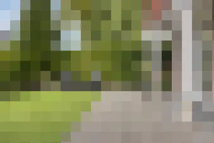 Eendagsbloemlaan 14 Vleuten thumbnail 27