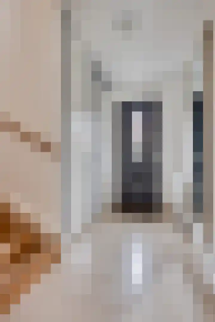 Eendagsbloemlaan 14 Vleuten thumbnail 28