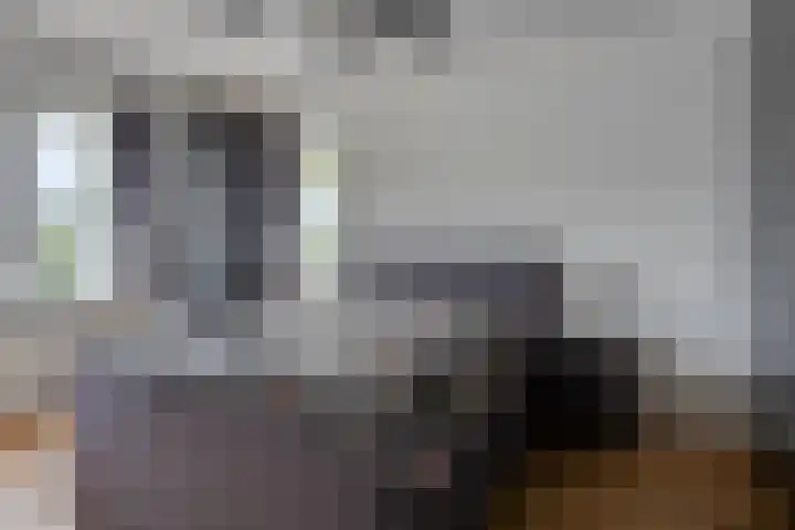 Eendagsbloemlaan 14 Vleuten thumbnail 32