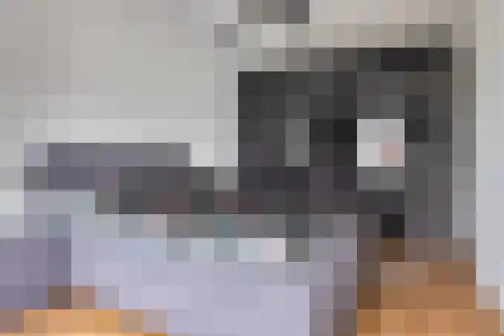 Eendagsbloemlaan 14 Vleuten thumbnail 33