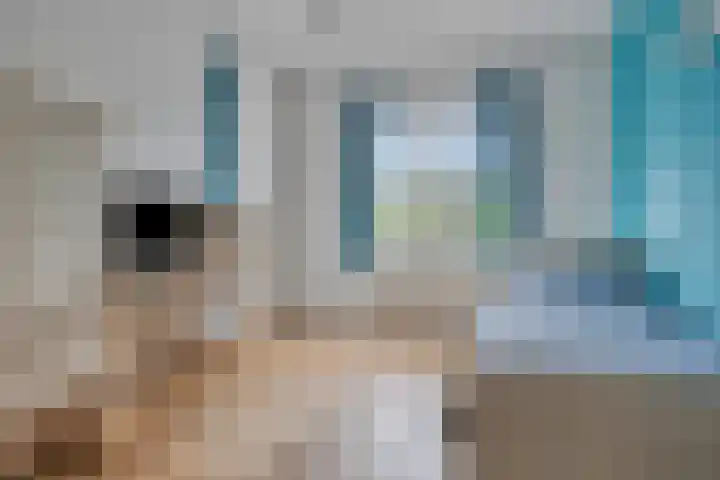 Eendagsbloemlaan 14 Vleuten thumbnail 34