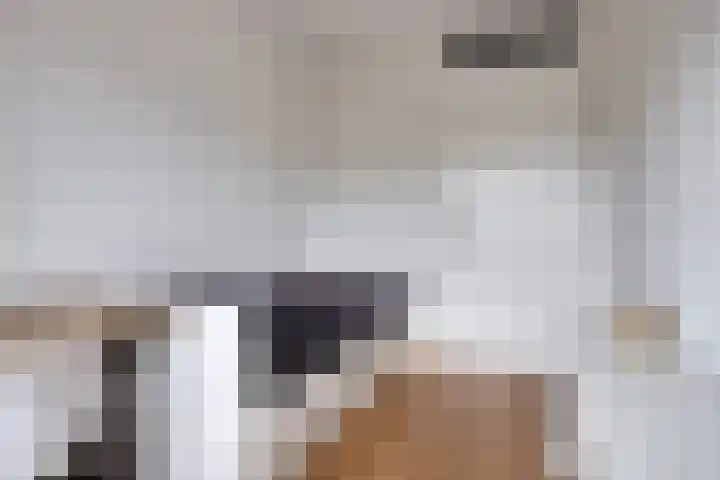 Eendagsbloemlaan 14 Vleuten thumbnail 37