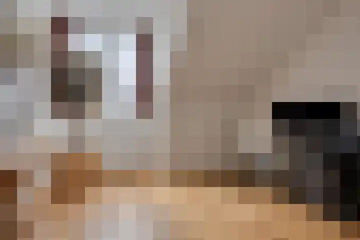 Eendagsbloemlaan 14 Vleuten thumbnail 39