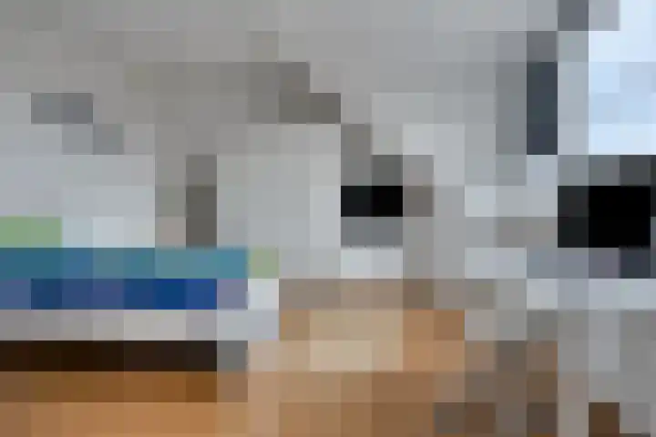 Eendagsbloemlaan 14 Vleuten thumbnail 41