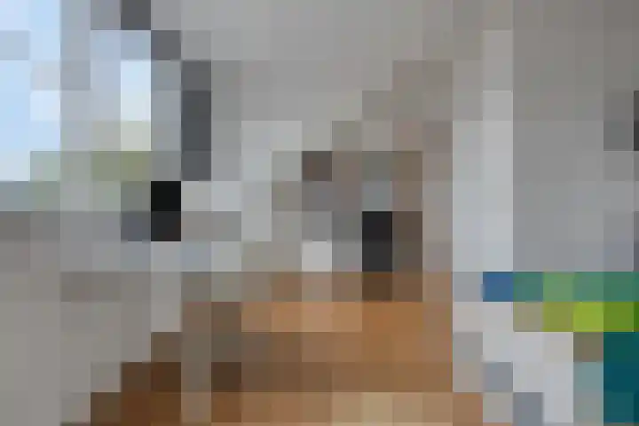 Eendagsbloemlaan 14 Vleuten thumbnail 42