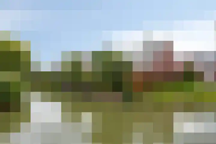 Eendagsbloemlaan 14 Vleuten thumbnail 43