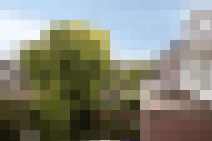 Eendagsbloemlaan 14 Vleuten thumbnail 44