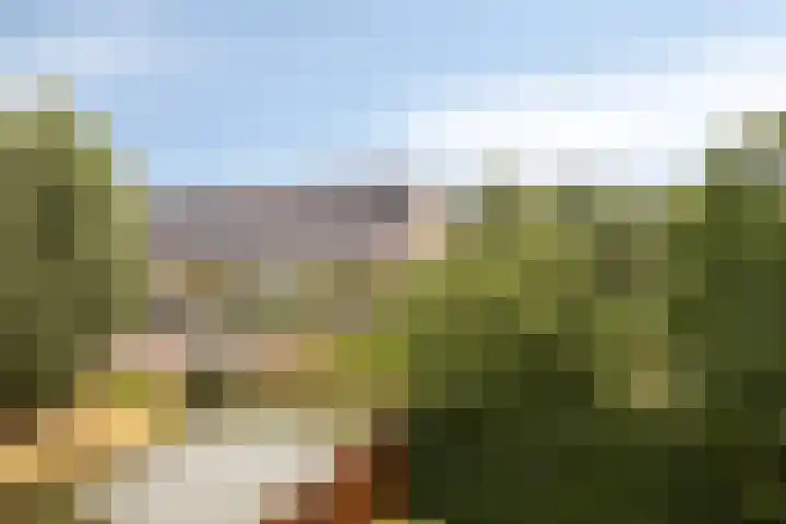 Eendagsbloemlaan 14 Vleuten thumbnail 45