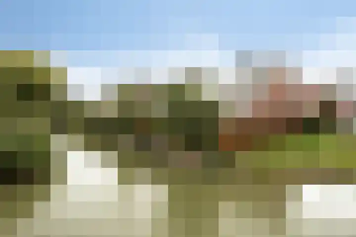 Eendagsbloemlaan 14 Vleuten thumbnail 5