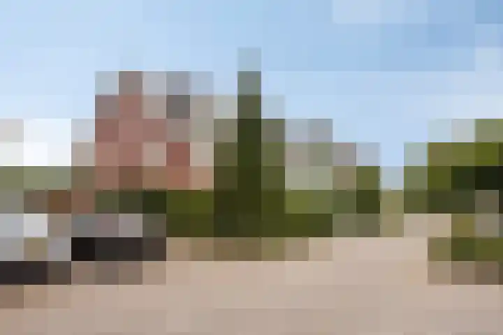 Eendagsbloemlaan 14 Vleuten thumbnail 6