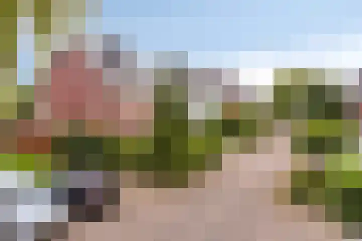 Eendagsbloemlaan 14 Vleuten thumbnail 7