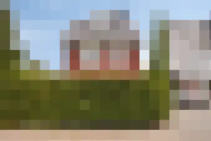 Eendagsbloemlaan 14 Vleuten thumbnail 8
