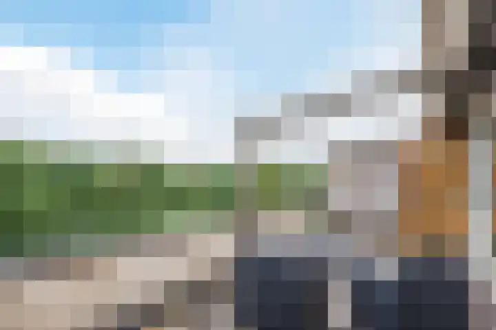 Eendekamp 106 Harderwijk thumbnail 41