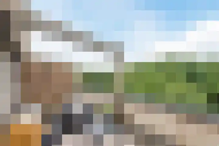 Eendekamp 106 Harderwijk thumbnail 42