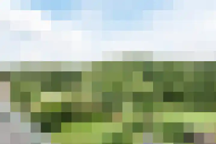 Eendekamp 106 Harderwijk thumbnail 43