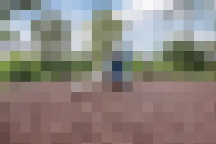 Eendekamp 106 Harderwijk thumbnail 49