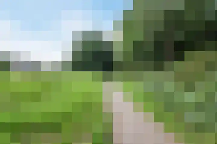Eendekamp 106 Harderwijk thumbnail 50
