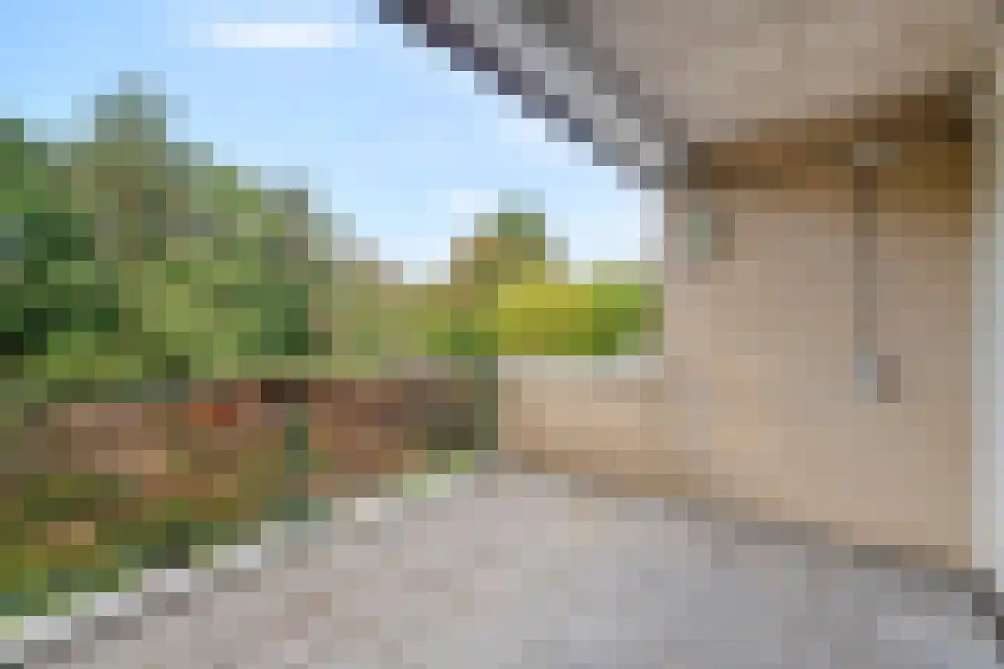 Eendekamp 24 Harderwijk thumbnail 16
