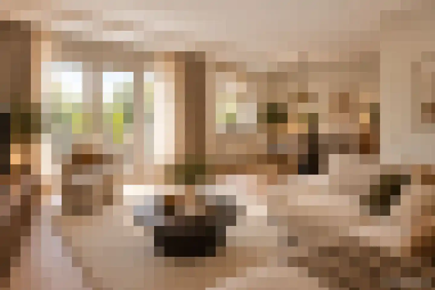 Eendekamp 24 Harderwijk thumbnail 9