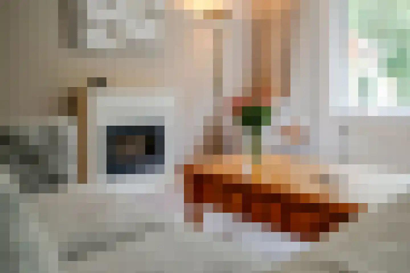 Eendekamp 4 Harderwijk thumbnail 11