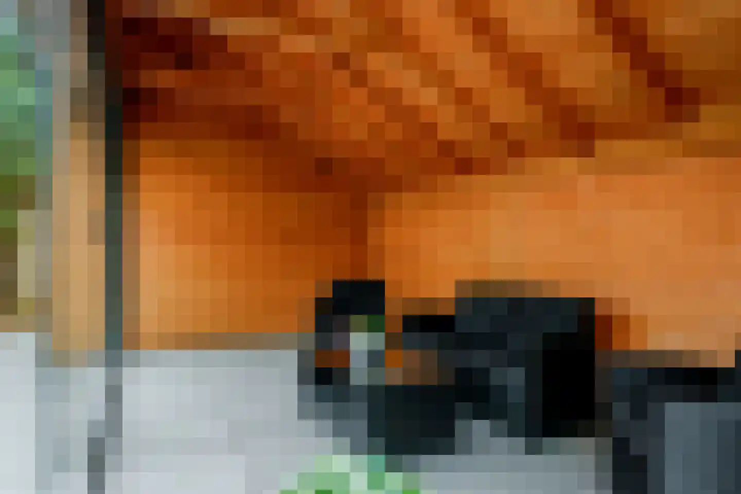 Eendekamp 4 Harderwijk thumbnail 26