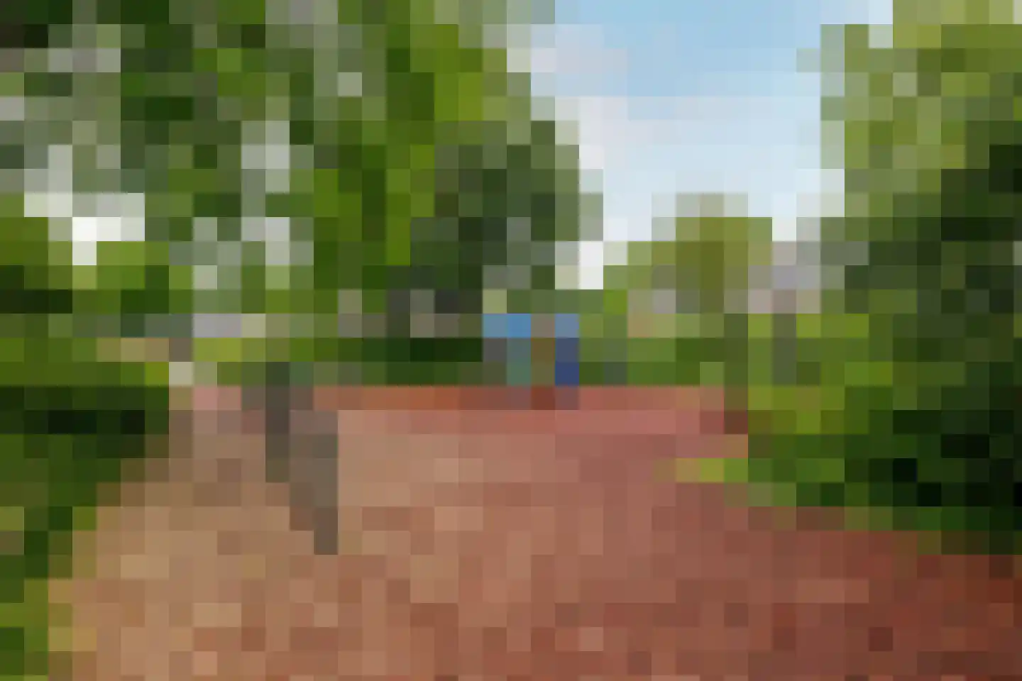 Eendekamp 4 Harderwijk thumbnail 33