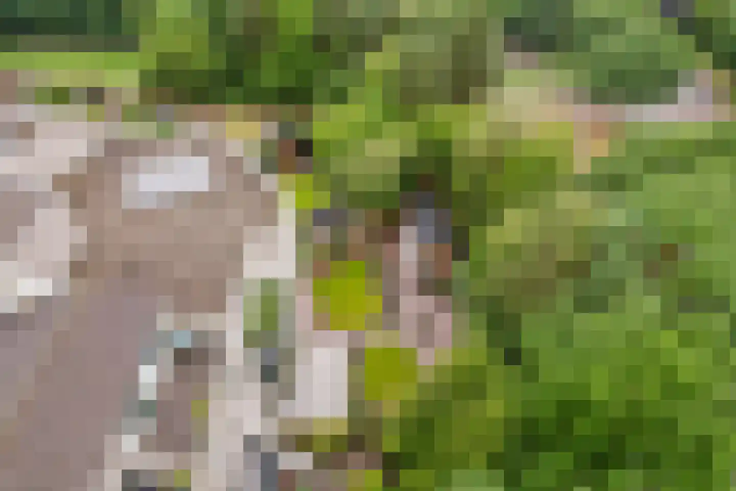 Eendekamp 4 Harderwijk thumbnail 36