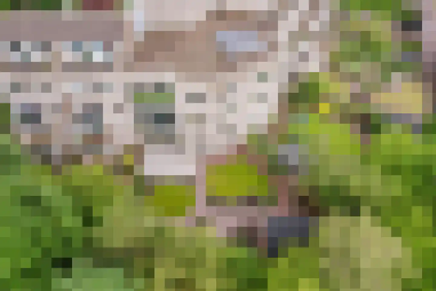Eendekamp 4 Harderwijk thumbnail 37