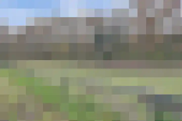 Eendekamp 78 Harderwijk thumbnail 37
