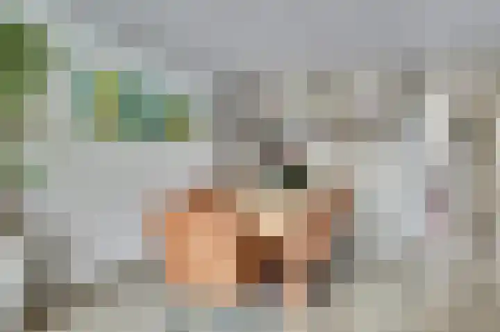 Eendekamp 84 Harderwijk thumbnail 17