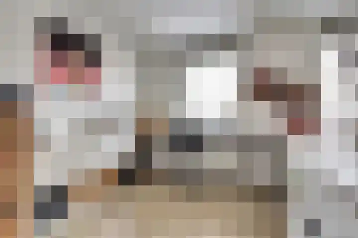 Eendekamp 84 Harderwijk thumbnail 20