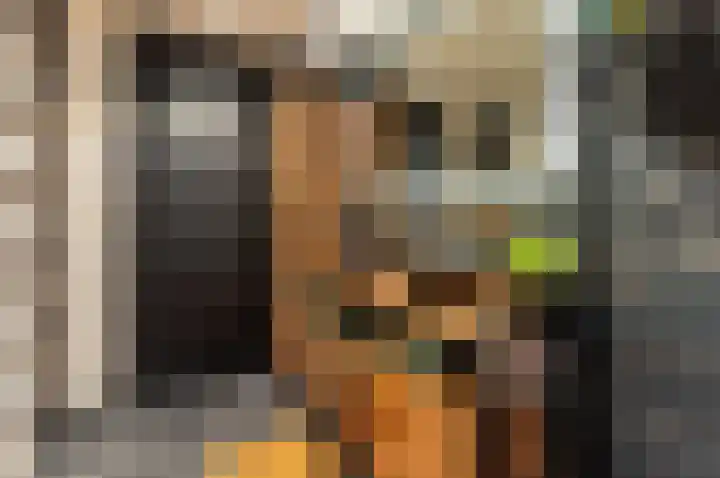 Eendekamp 92 Harderwijk thumbnail 17
