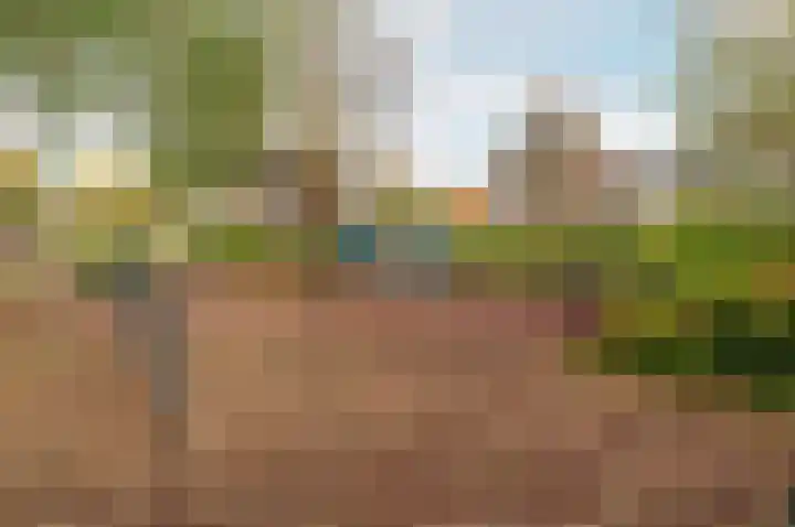 Eendekamp 92 Harderwijk thumbnail 32