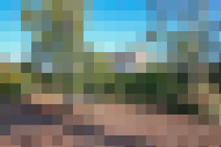 Eendekamp 92 Harderwijk thumbnail 33