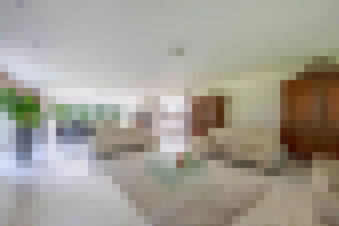 Eendekooi 30 Drunen thumbnail 10