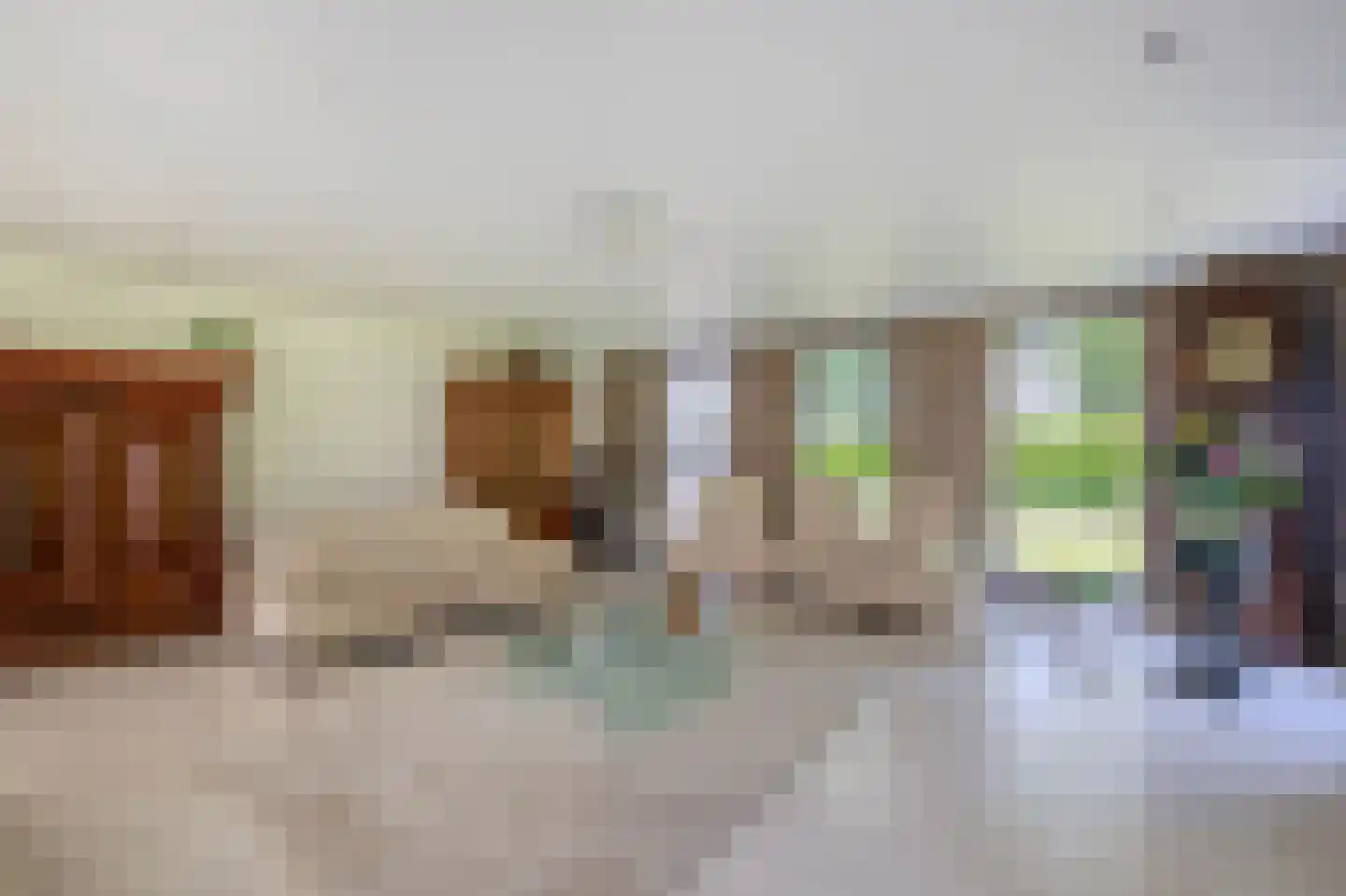 Eendekooi 30 Drunen thumbnail 11