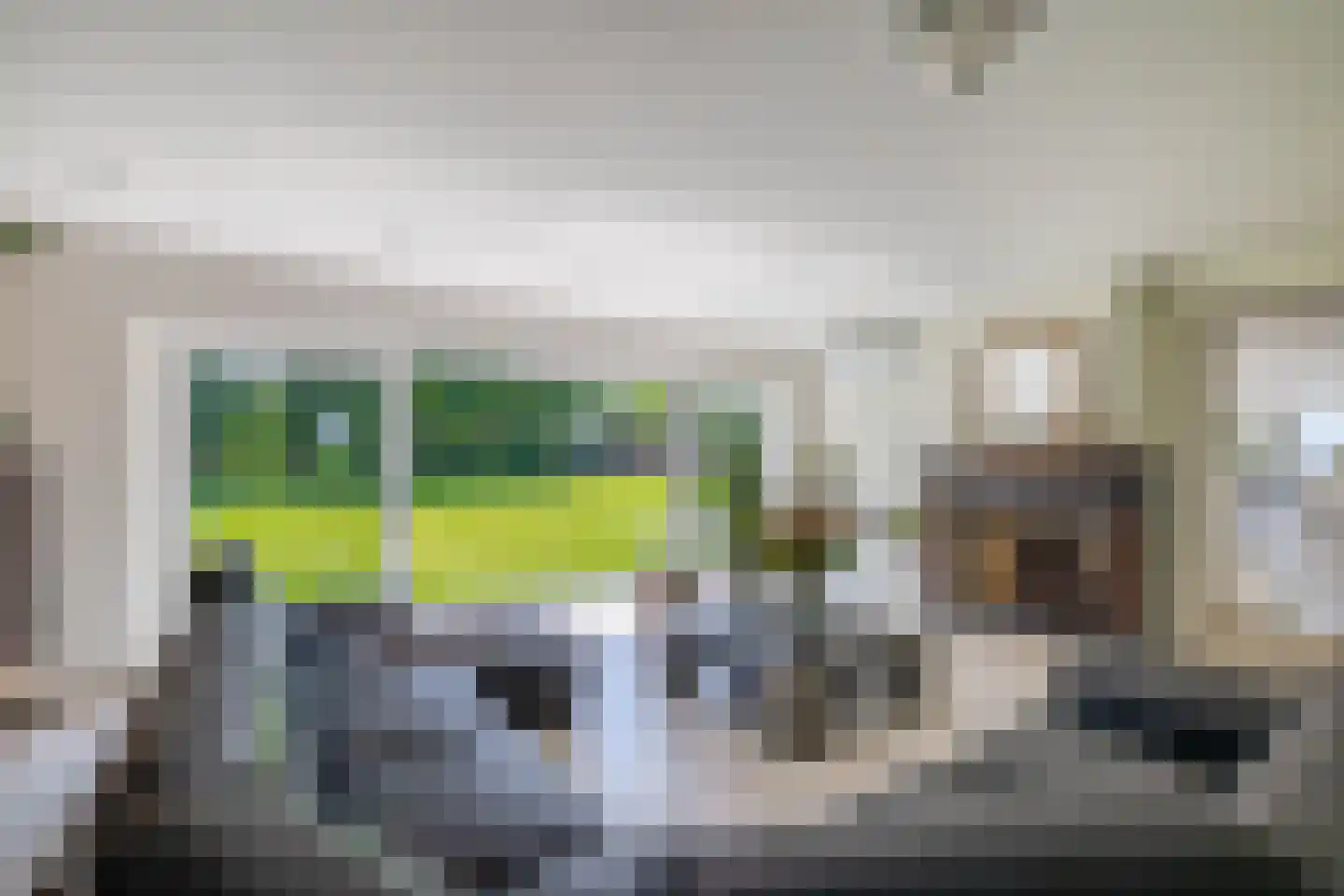 Eendekooi 30 Drunen thumbnail 12