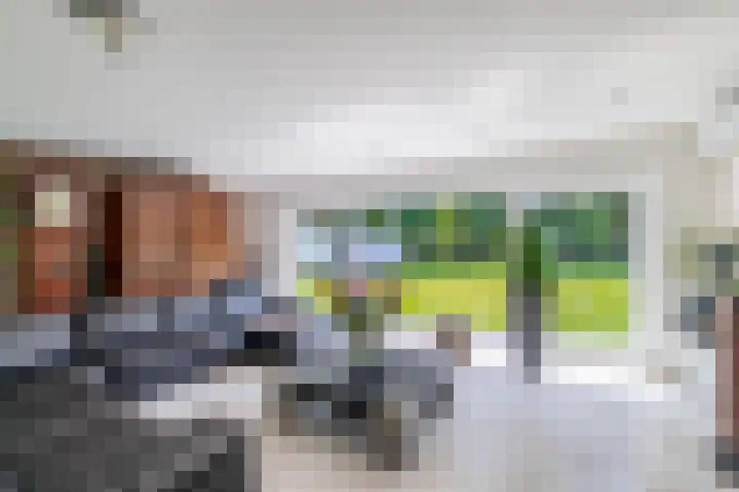 Eendekooi 30 Drunen thumbnail 13