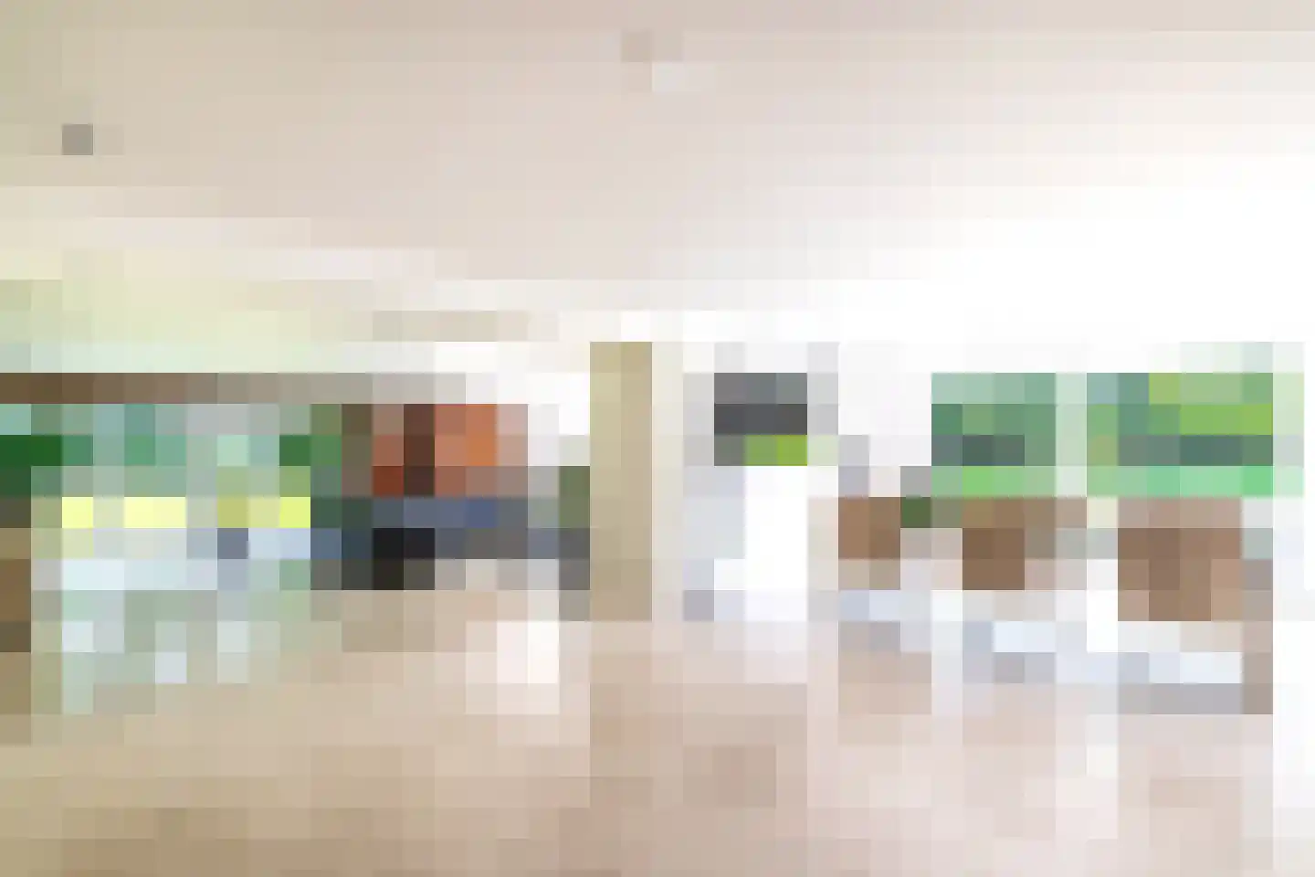 Eendekooi 30 Drunen thumbnail 15