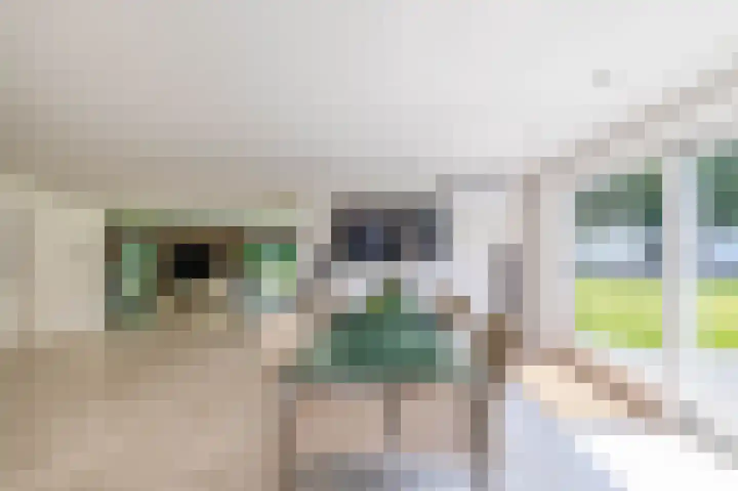 Eendekooi 30 Drunen thumbnail 16